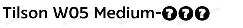 Tilson W05 Medium字体转换 Tilson W05 Medium字体转换